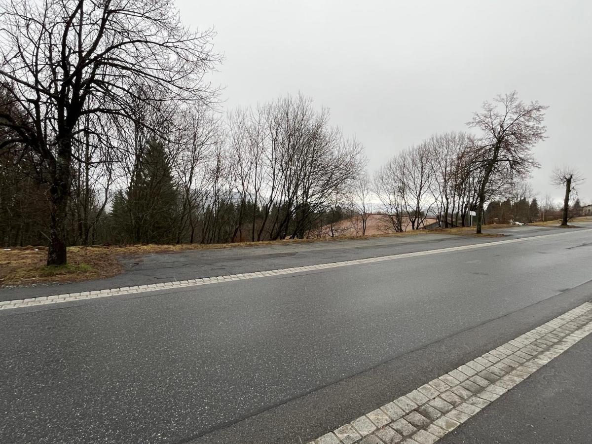 Fitapartman Mitterfirmiansreut Exterior foto